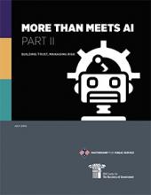 More Than Meets AI